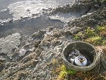 給水バルブ