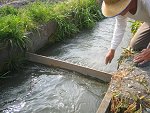 用水路